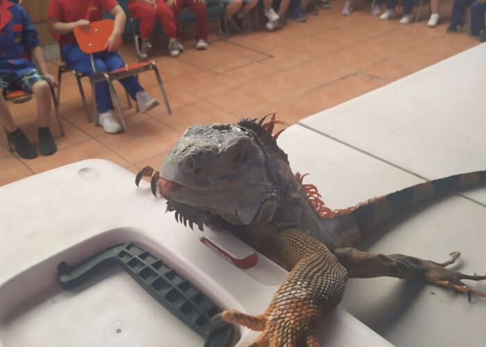 ExpoFauna en Nuestra Escuela