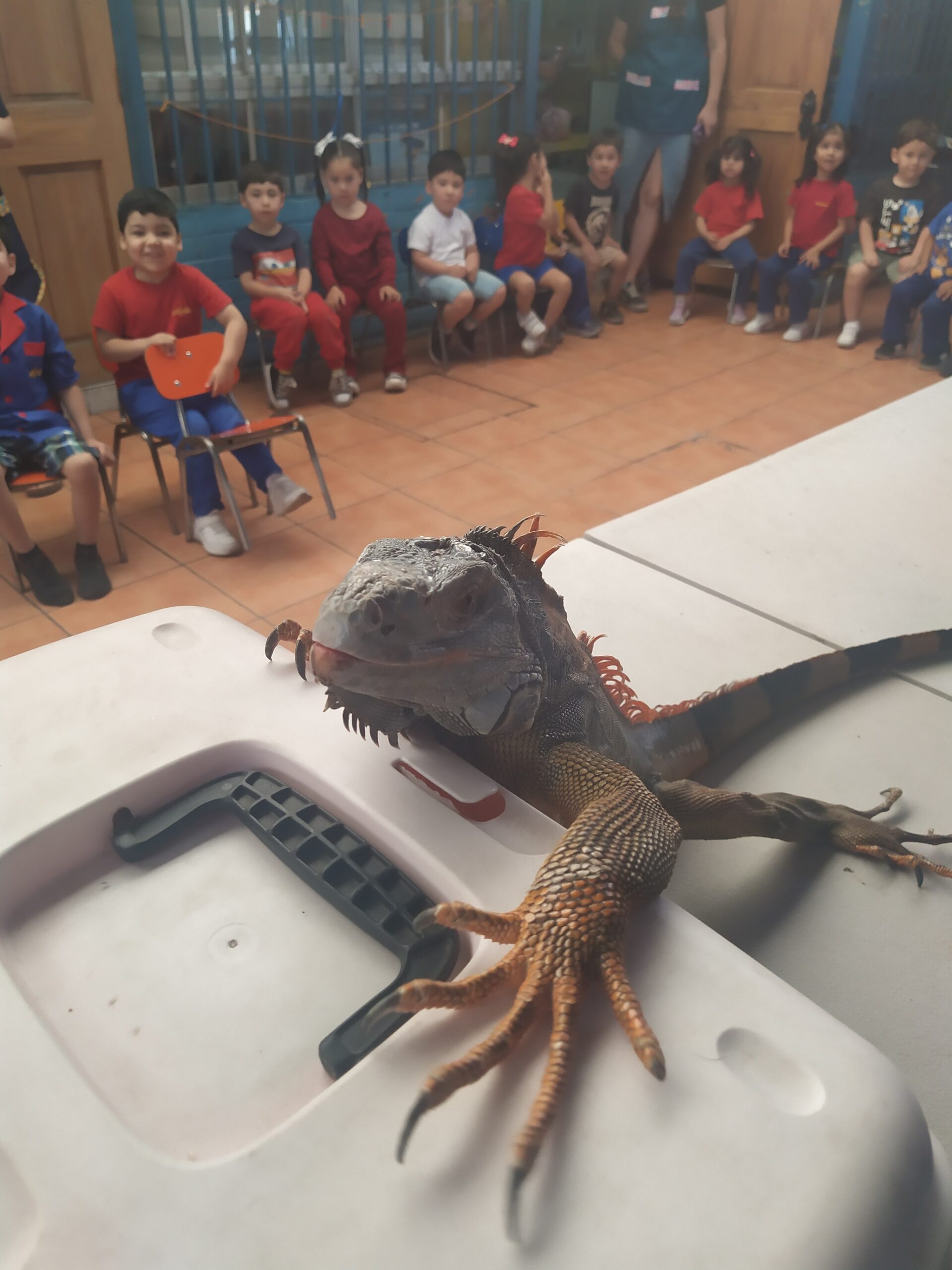 ExpoFauna en Nuestra Escuela